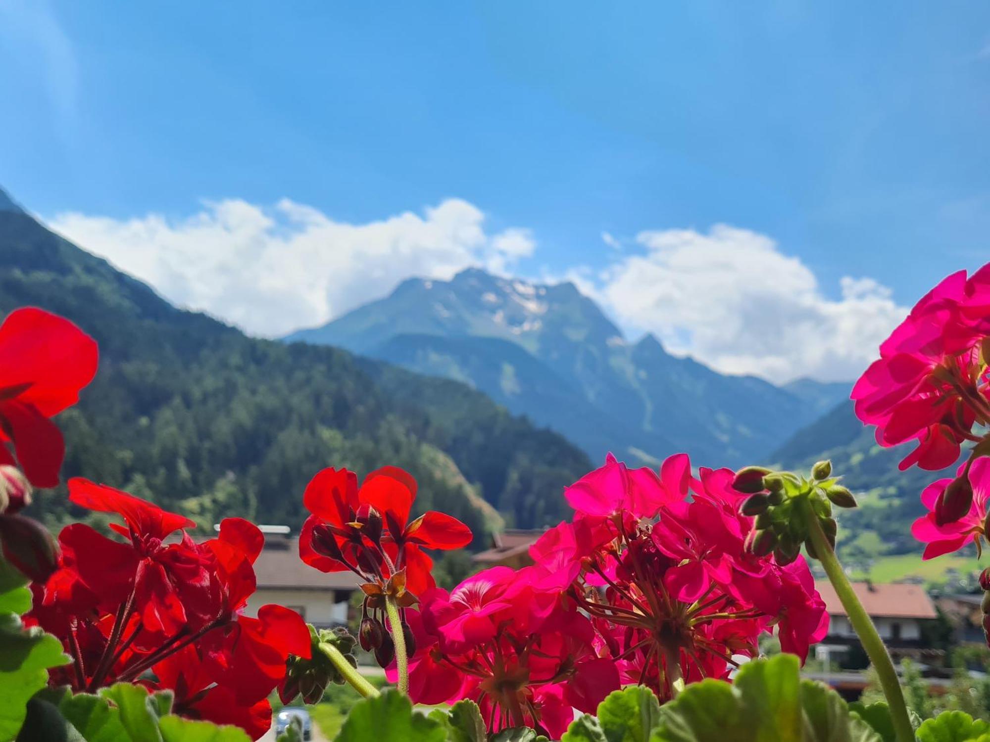 Scheulinghof Hotel Mayrhofen Exterior photo